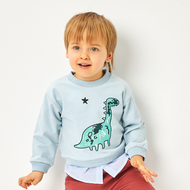 boys-autumn-sweater-fleece-hoodies-sweatshirts-for (1).jpg
